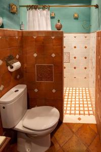 ein Bad mit einem WC und einer Dusche in der Unterkunft ALOJAMIENTO MAZARI in Antequera