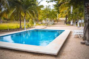 Bazén v ubytování Royal Palm Bacalar Cabañas & Lagoon Club nebo v jeho okolí