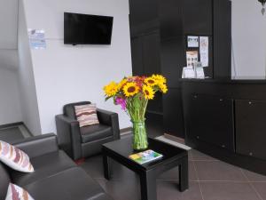 TV a/nebo společenská místnost v ubytování Hotel Portal de los Andes