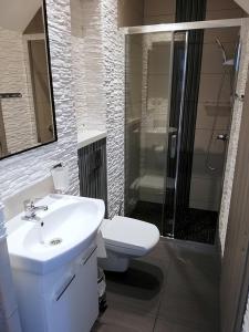 een badkamer met een wastafel, een douche en een toilet bij Serce Krynicy in Krynica Morska