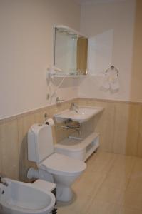 a white toilet sitting next to a sink in a bathroom at Porto Riva in Zaporozhye