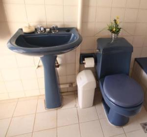 a bathroom with a blue toilet and a sink at Casa Los Jazmines in Sucre