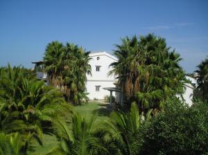 una casa blanca con palmeras delante en El Olivar de Roche Viejo, en Conil de la Frontera