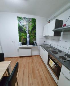 Кухня або міні-кухня у KM Apartment