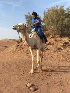 a man riding on a camel in the desert at Desert Camp Laila in Mhamid