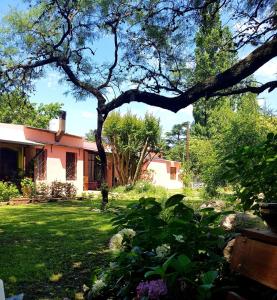 聖哈維爾的住宿－Posada El Cortijo，院子里有树的房子