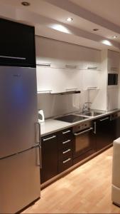 ビトラにあるBrand New Apt in City Centerのキッチン(ステンレス製の冷蔵庫、シンク付)