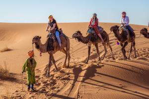 a group of people riding on camels in the desert at Auberge Chez Julia in Merzouga
