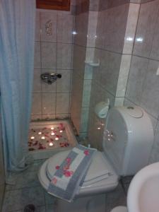 een badkamer met een douche, een toilet en een wastafel bij Guesthouse Rousis in Zagora