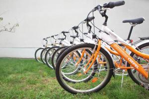 a row of orange bikes parked in the grass at Agancsos Panzió Villány in Villány