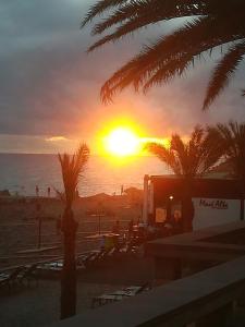 a sunset on a beach with palm trees and the ocean at Cc39-Q6 in Funchal