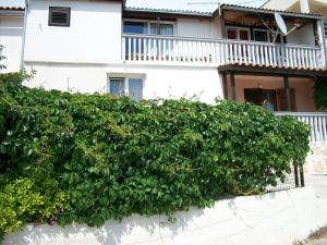 a large green hedge in front of a house at Apartments Luka in Tisno