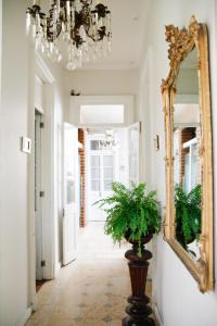 un corridoio con specchio e pianta in un vaso di Casa Turin a Città del Messico