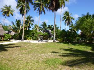 Fotografie z fotogalerie ubytování Paradise Cove Lodge v Arutanze