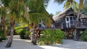 Fotografie z fotogalerie ubytování Paradise Cove Lodge v Arutanze