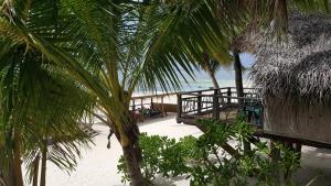 Fotografie z fotogalerie ubytování Paradise Cove Lodge v Arutanze + 14 fotografií