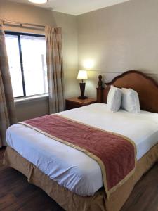a bedroom with a large white bed with a window at Ocala Cove Motel in Ocala