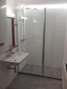 ein Bad mit einer Dusche und einem Waschbecken in der Unterkunft Haus Steinhof in Sankt Lorenzen ob Murau