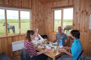 Majutusasutuse Lambhus Glacier View Cabins külastajad