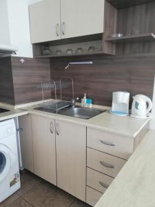 Kuchyň nebo kuchyňský kout v ubytování Apartamenti Zhelezovi