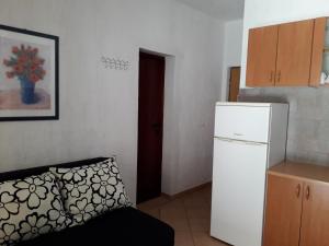 a small kitchen with a white refrigerator in a room at Delfin Apartments in Sveti Juraj