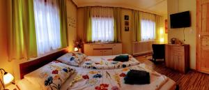 a bedroom with two beds and a television and windows at Mühlnerhof Familie Gruber in Aich
