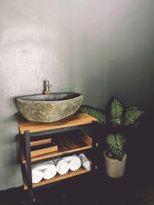 a bathroom with a sink and a potted plant at Capila Villa Bali in Canggu