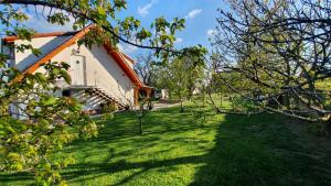 Zahrada ubytování Mandula Apartmanok