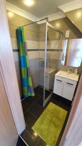 a small bathroom with a shower and a sink at Mandula Apartmanok in Badacsonytomaj