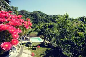 a garden with pink flowers and a swimming pool at Ca'Luni in Casola in Lunigiana
