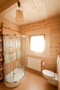 a wooden bathroom with a shower and a toilet at Willa Pod Nosalem III in Zakopane