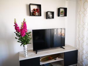 a television on a stand with a vase of flowers at Beachfront modern and spacious apartment in Torrevieja