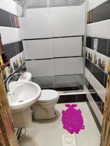 łazienka z toaletą i umywalką w obiekcie Petra 555 w mieście Wadi Musa