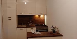 Küche/Küchenzeile in der Unterkunft Apartment Krajacic
