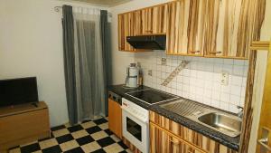 uma pequena cozinha com um lavatório e um fogão em Genuss.Haus.Fankhauser em Tux