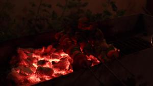 a fire pit with a bunch of food on it at The Desire Hostel in New Delhi