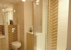 a bathroom with a toilet and a glass shower at Apartamenty Rebergen w kompleksie Apartamenty Piano in Świeradów-Zdrój
