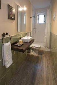 y baño con lavabo, aseo y ducha. en Apartamentos turisticos Avila La Catedral, en Ávila