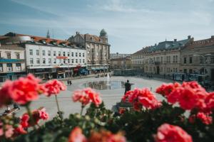 Nespecifikovaný výhled na destinaci Osijek nebo výhled na město při pohledu z hotelu