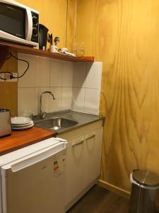 a small kitchen with a sink and a microwave at Borde Lago IV - V in Puerto Varas