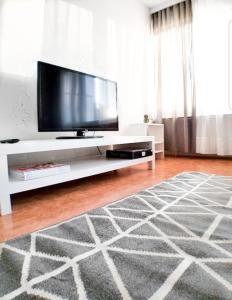 TV a/nebo společenská místnost v ubytování Comfortable Apartment MILA at a good location