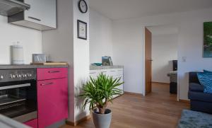 穆赫克雷斯的艾根的住宿－Haus am Marktplatz，粉红色橱柜和盆栽的厨房