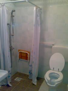 La petite salle de bains est pourvue d'une douche et de toilettes. dans l'établissement IANUA COELI 3, à Mosso Santa Maria
