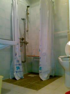 La salle de bains est pourvue d'un rideau de douche et de toilettes. dans l'établissement IANUA COELI 3, à Mosso Santa Maria