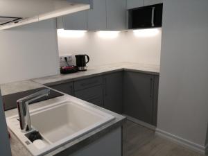 a kitchen with a sink and a counter at Mario Studio in Vilnius