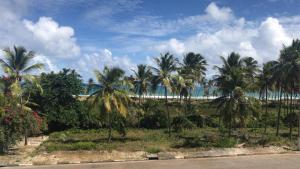 Příroda nedaleko prázdninového domu