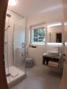a bathroom with a glass shower and a sink at Charmantes Apartment mit Terrasse zum Garten nahe Wien in Gumpoldskirchen