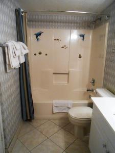 1411 Waters Edge Resort condo