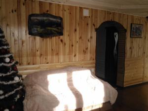 a room with a tv and a bed and a christmas tree at Сімейний котедж КРАЄВИД чан джакузі сауна in Mykulychyn