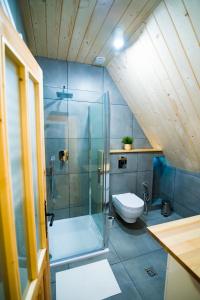 Kúpeľňa v ubytovaní Domek & Apartament Góralski z Jacuzzi Kościelisko